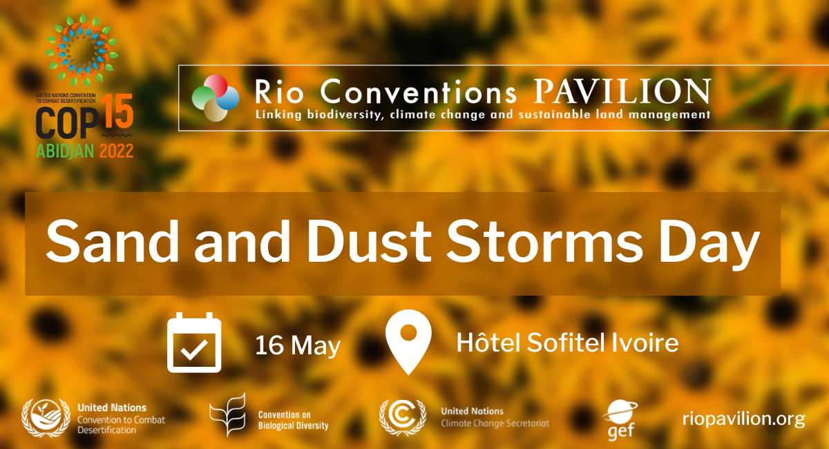 Sand and Dust Storms Day, Rio Conventions Pavilion, COP15, Abidjan, Côte d'Ivoire, May 2022